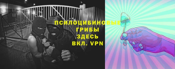 молекула духа Алексеевка