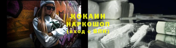 стафф Алексин