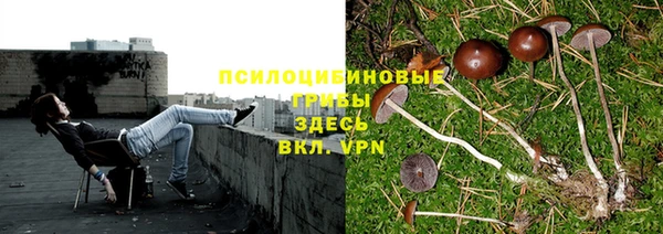 стафф Алексин