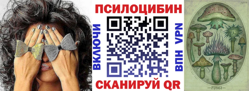 Псилоцибиновые грибы Cubensis Циолковский
